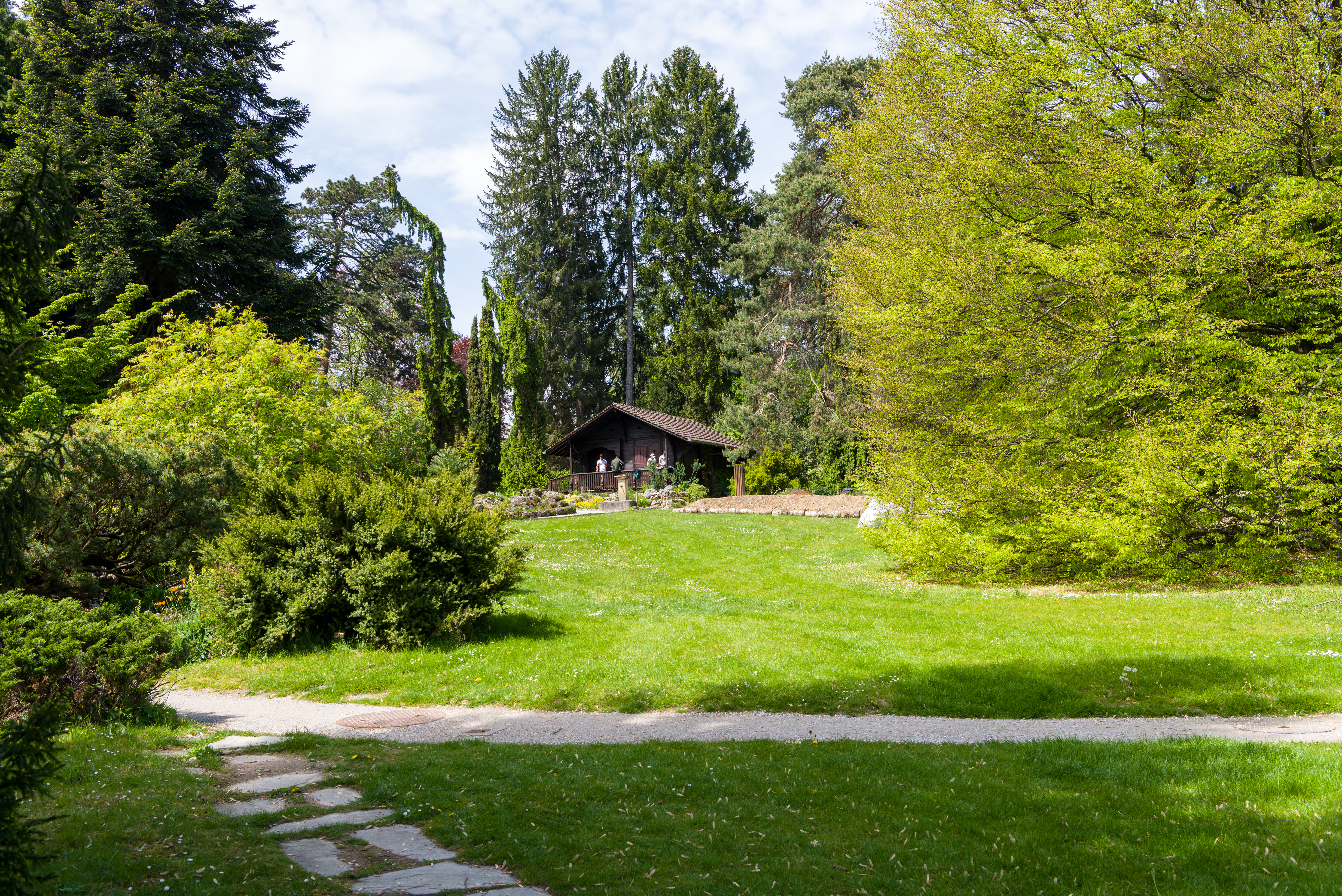 Le jardin botanique alpin