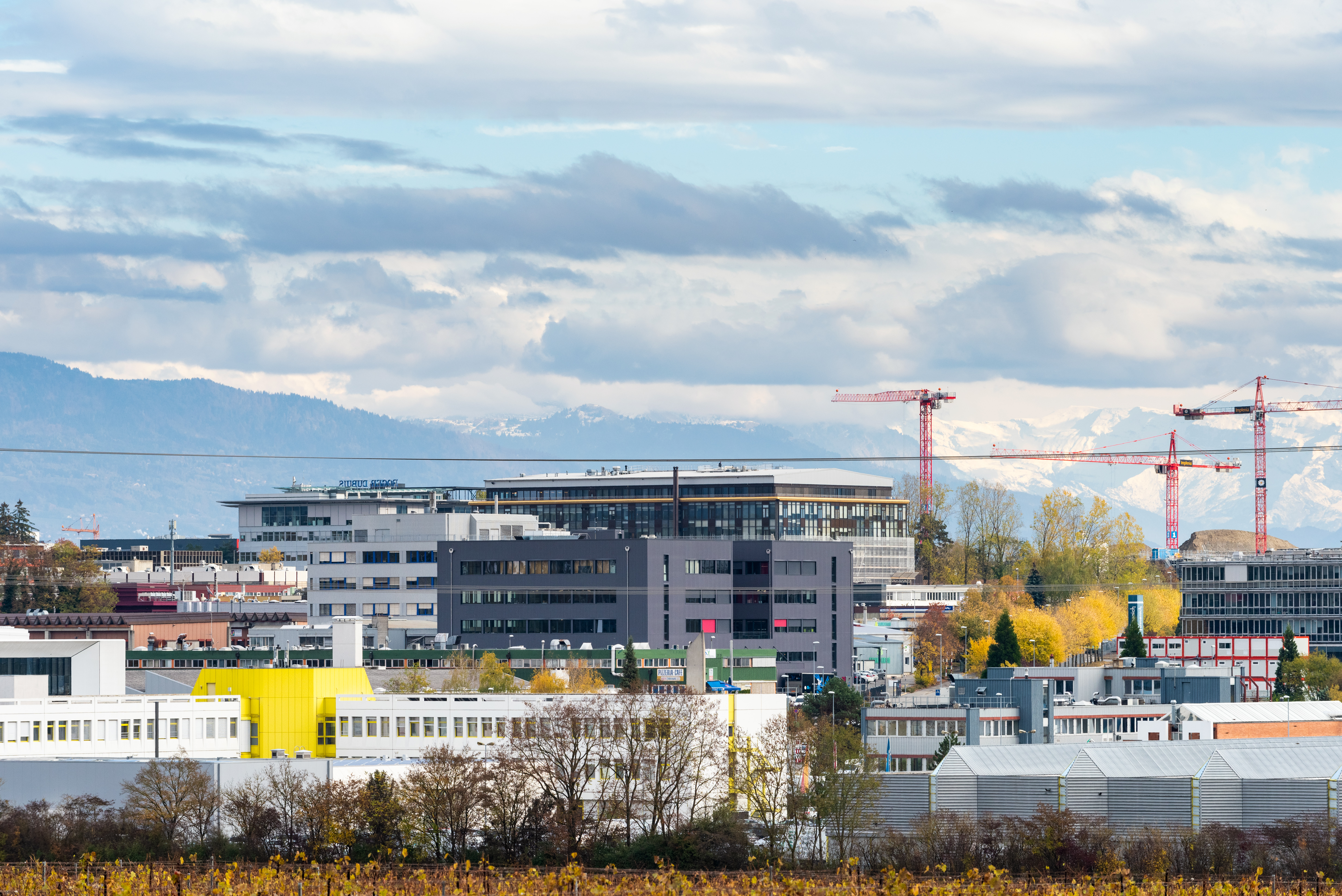 Pour les Entreprises