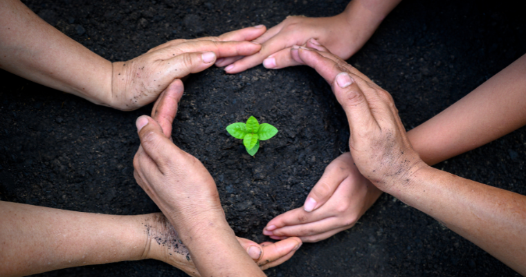 Coopération et solidarité internationales