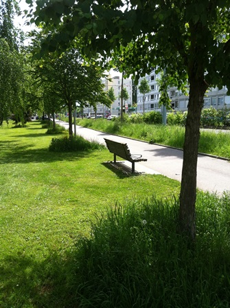 Prairie/gazon Livron