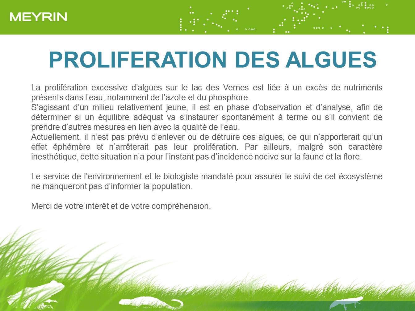 Prolifération des algues