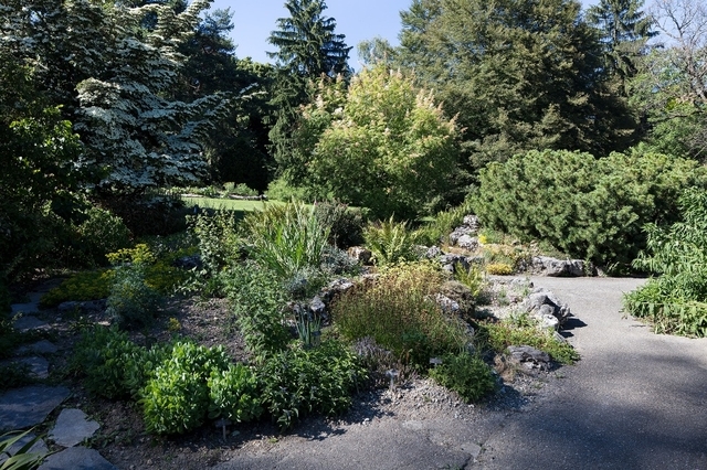 Jardin alpin Meyrin
