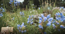 Été en pente douce