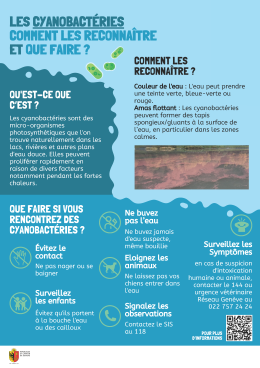 Cyanobacteries_flyer_vdef_4.png