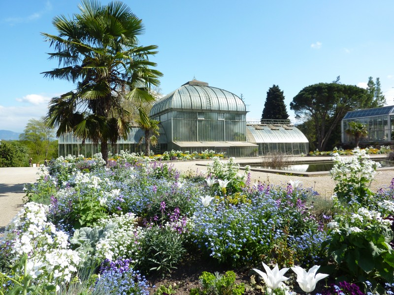 Jardin botanique
