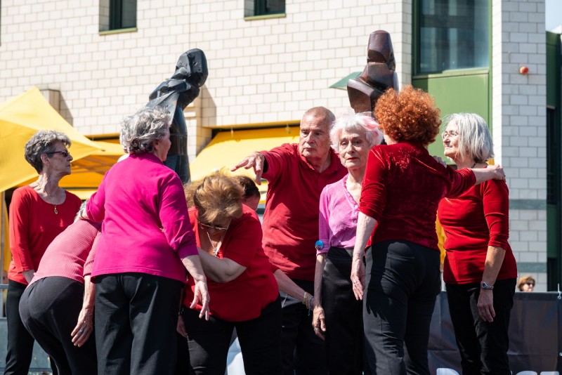 Fête de la Danse Meyrin 2018-Laurent Barlier