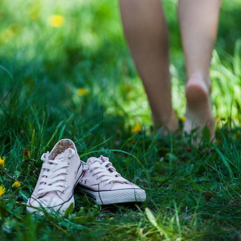 Cover programme 2020