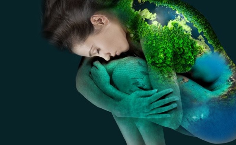 Exposition Tout contre la terre