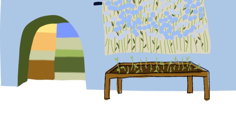 clementine pellegrin