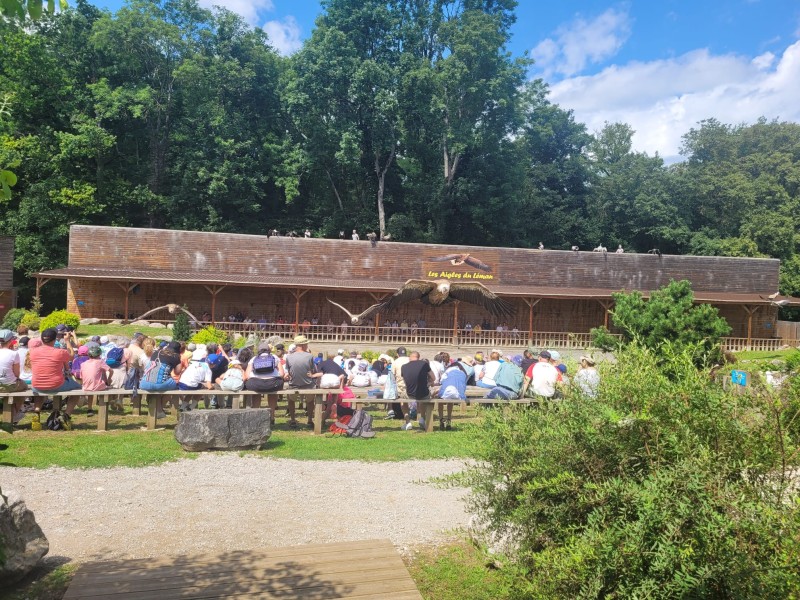 Les Aigles du Léman